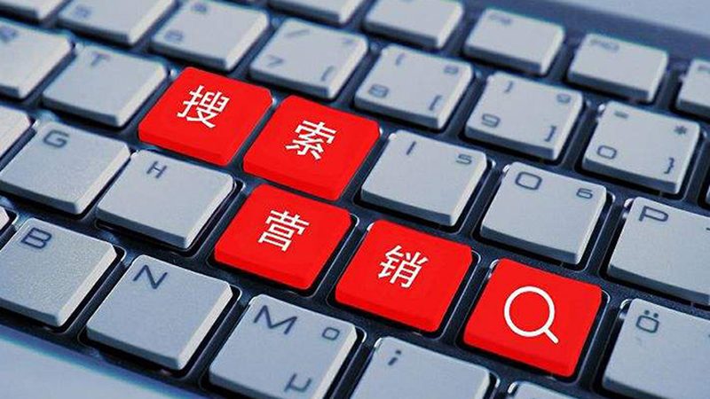 seo优化公司案例哪里看