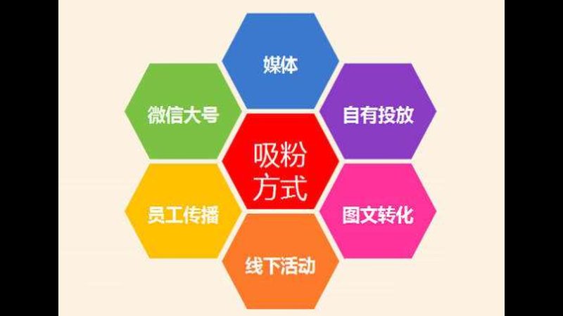 行业背景：成人教育市场潜力巨大，网络推广成关键