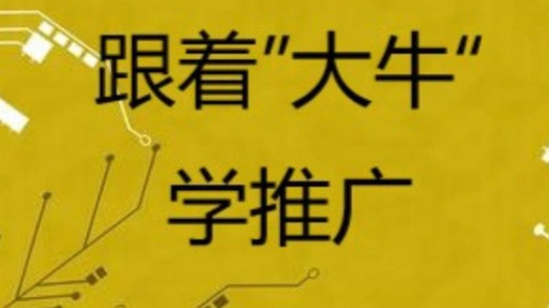 揭秘长尾词排名优化：厂家直销的秘密武器